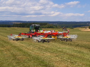 Schwader von Pöttinger auf Wiese