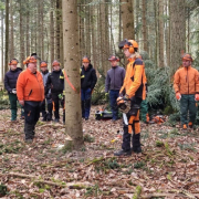 Menschen mit Schnittschutzausrüstung im Wald beim Motorsägenlehrgang
