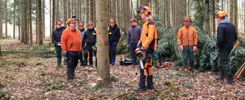 Menschen mit Schnittschutzausrüstung im Wald beim Motorsägenlehrgang